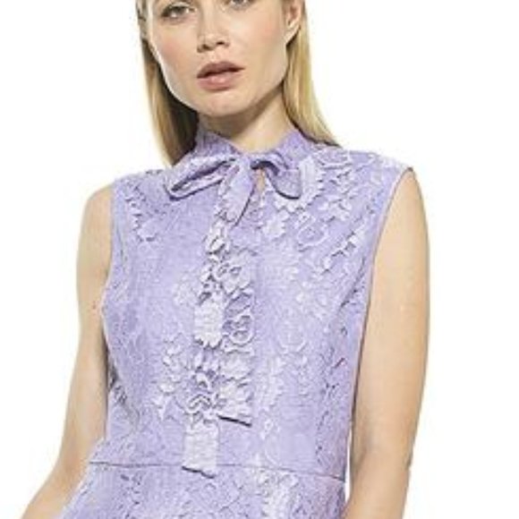 Alexia Admor Luna Lace Fit & Flare Midi Dress NWT - Picture 4 of 8